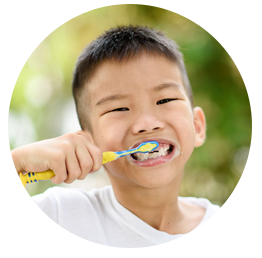 Children's Dental Centre schedule image 4 | Children's Dental Centre, Sioux Center, IA